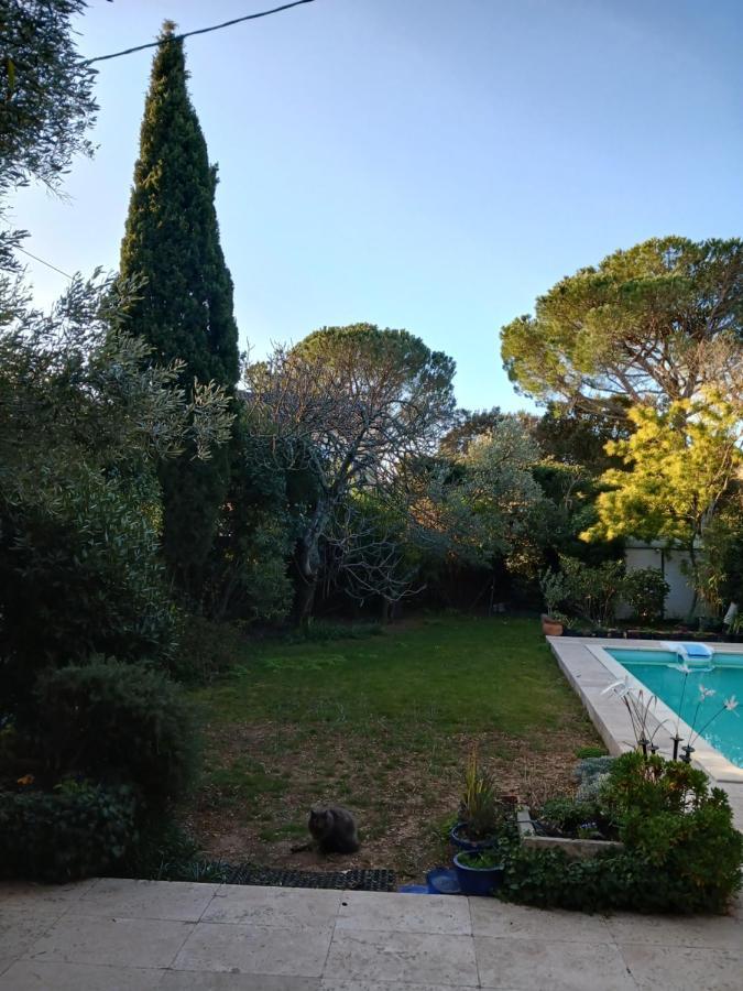Studio Charmant Et Calme Villeneuve Les Avignon Entree Et Cour Independantes Climatisation Piscine Parking Esterno foto