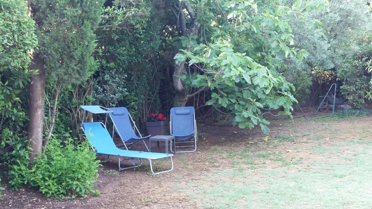 Studio Charmant Et Calme Villeneuve Les Avignon Entree Et Cour Independantes Climatisation Piscine Parking Esterno foto